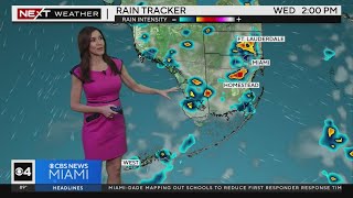 South Florida 12 pm Weather Forecast 8142024 [upl. by Milzie804]