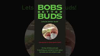 Introduction to Bobs Better Buds Inc [upl. by Irroc]