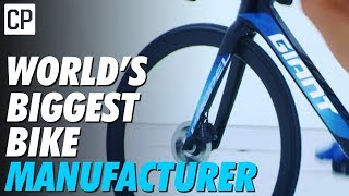 How Giant Became The Worlds Biggest Bike Company [upl. by Enilrem]