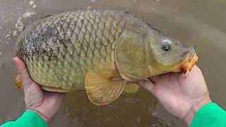 Keep It Simple Carp Fishing  Easy Method For Catching Carp [upl. by Liss905]