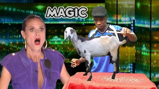 Animal Magician of the year on Britains Got Talent Audition 2024 Incredible Goat Magic bgt [upl. by Phina]