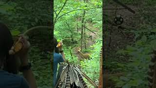 TN Classic Atlatl Throwing Competition tennessee atlatl spear spearhunting [upl. by Nueovas436]