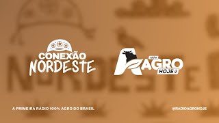 ESTREIA CONEXÃO NORDESTE [upl. by Nofets]