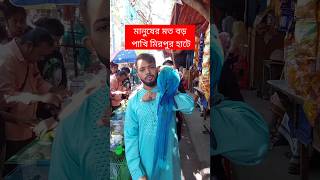 মানুষের মতো বড় পাখি মিরপুর হাটে  পাখি  Pakhi  মিরপুর ১ পাখির হাট  টিয়া পাখি  Tiya Pakhi short [upl. by Tillinger468]