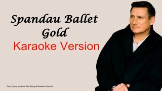 Spandau Ballet Gold Karaoke Version [upl. by Finny]