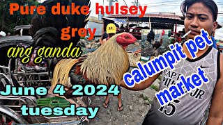 Pure duke hulsey grey ang gandaJune 4 2024 tuesday calumpit pet market [upl. by Kacey860]