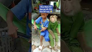 Nonton HP adiknya monyet monyetlucu bocil [upl. by Dur]