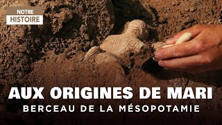 Retour en Mésopotamie  Les Origines de Mari Ville royale  Documentaire Archéologie  AMP [upl. by Sixele]