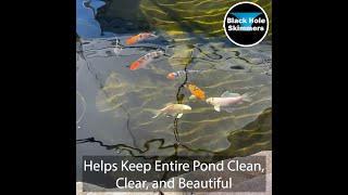 Pond Surface Skimmer  Pond Aerator  Koi Pond [upl. by Chiquia]