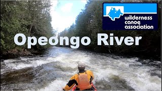 Whitewater Canoeing the Opeongo River [upl. by Florence]