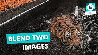 How to Blend Images  Pixlr E [upl. by Newlin541]