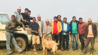 New Year 2081 Celebration at Mehele Lekh Shubhakalika 6 [upl. by Yar]