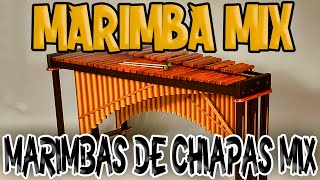 Lomejor Dwla Marimba En ✔ Mira Que Mujeres Tan Guapa Bailando Al Ritmo Dela  las mejores marimbaS [upl. by Nohsed]