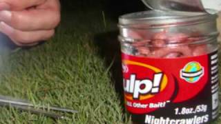 catfish night fishing gulp nightcrawler [upl. by Culver]