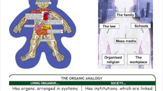 SY1 Functionalism [upl. by Athene]