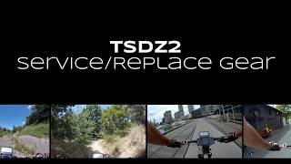 TSDZ2 Blue Gear Replacement and Service [upl. by Ainyt]