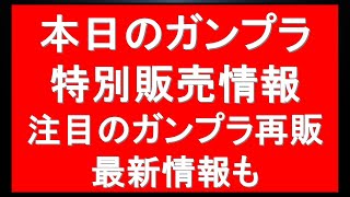 831本日のガンプラ特別販売開始情報。プレバン最新情報に今後の注目ガンプラ再販情報も [upl. by Goodman]