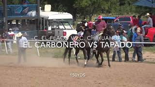 El Carbonero VS Tapado en 150yds [upl. by Kelli304]