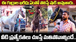 Horse Owner Anil Reddy Exclusive Interview  Horse Breeds  Horse Rates  QubeTV Telugu [upl. by Nenerb]