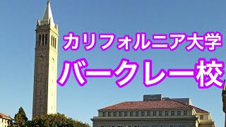 【一橋大学】【留学先紹介】カリフォルニア大学 バークレー校 [upl. by Lleruj]