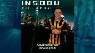 Insodu  Julius Micheal [upl. by Ab804]