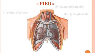 SEMIOLOGIE Douleurs thoraciques [upl. by Mervin883]