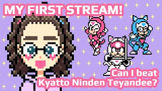 My First Stream Can I beat Kyatto Ninden Teyandee [upl. by Lurie367]