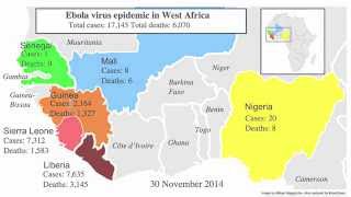 Epidemics Outbreaks and Pandemics [upl. by Tcideneb943]