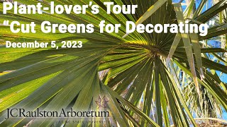 Plantlovers Tour  quotCut Greens for Decoratingquot [upl. by Fregger]