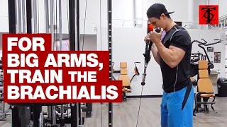 Train the Brachialis [upl. by Falito]