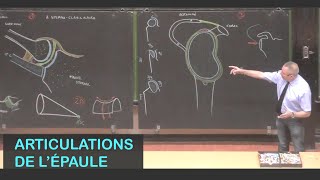 Anatomie des articulations de lépaule Membre supérieur 1 [upl. by Eadrahc]