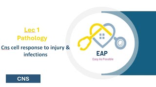 Lec 1  Pathology  Cns cell response to injury amp infections  CNS 42 [upl. by Asyle]