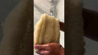 Say No To Plastic  Loofah sponge  Appia Luffa [upl. by Osithe51]