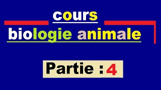 La Biologie animale Ep 4  protostomiens et deutérostomiens [upl. by Yllak113]