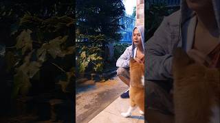 Heavy Rain But Dog Wants to Go Out doglover petsvlog meetmypets entertainment [upl. by Daniell]