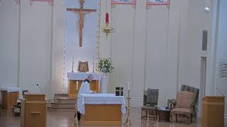 November 11 2024 at 800 am Catholic Mass from Our Lady of Peace in Vacherie LA [upl. by Carla]