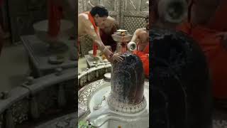 Om Tryambakam yajamahe Maha mrityunjay mantraMahadev status video mahadev bholanath [upl. by Dnalevets]