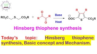 Hinsberg Synthesis of Thiophene Application of Stobbe Condensation Reaction Lecture 3 [upl. by Lindley]