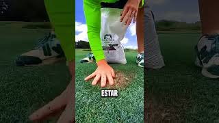 ¡El tipo volvió verde el lugar seco😮 shortsvideo [upl. by Rilda]