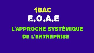 1BAC Économie générale  lapproche systémique de lentreprise [upl. by Aneej154]