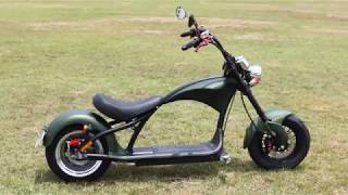 Citycoco Chopper Rooder R804m1 with 2000w 20ah 45kmh green color wholesale price [upl. by Masry]