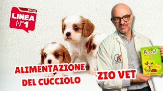 Alimentazione del cucciolo ZIO VET [upl. by Yadsnil]