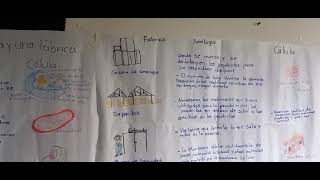 Unidad 2  Tarea 3 Identificación Analogía de las organelas y una fabrica de producción [upl. by Absalom]