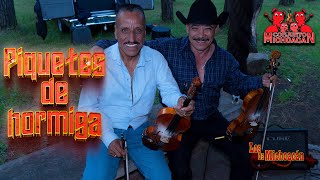 Conjunto Michoacán ft Los de Michoacán  Piquetes de hormiga [upl. by Mirilla568]