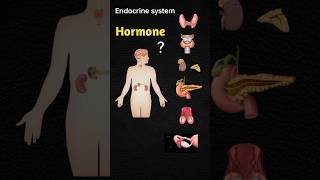 Endocrine System All Hormone shorts hormone anatomy [upl. by Nwahsar]