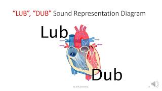 STUDY OF PHONOCARDIOGRAM [upl. by Avihs]