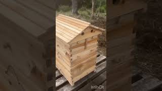 Watch This Stunning Beehive in Action 🐝🍯 Automatic Honey Harvest in NSW Australia [upl. by Resa731]