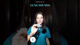 Lung Sound Part 1 Vesicular breath sounds [upl. by Roxi]