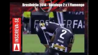 Botafogo 2 x 1 Flamengo  MELHORES MOMENTOS  Brasileirão 2014  Globo Esporte Flamengo [upl. by Baptista]