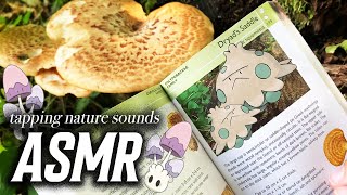 ASMR 🍄 Foraging for Pokémon and Mushrooms Tapping Scratching and Nature Sounds for Relaxation [upl. by Imij381]